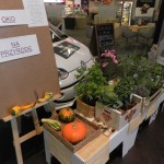 Szkolniaki 2013.08.25 (09) (Kopiowanie)