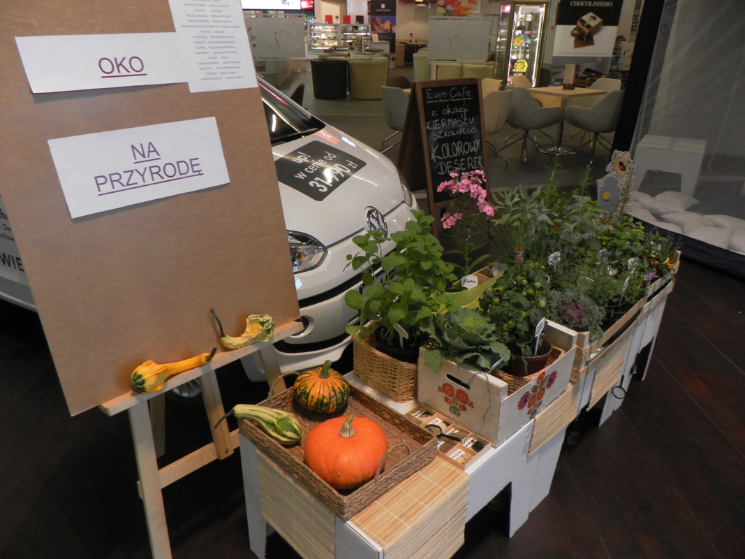 Szkolniaki 2013.08.25 (09) (Kopiowanie)