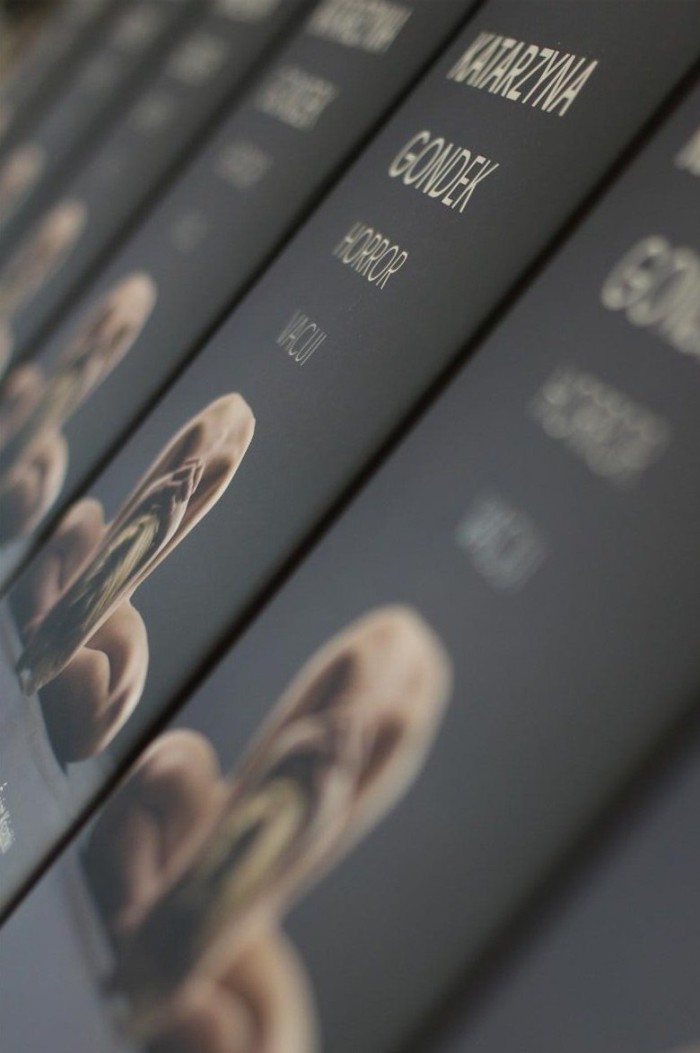 Spotkanie_z_K._Gondek (01)