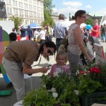 Rowerem po drzewach 2014 (03)