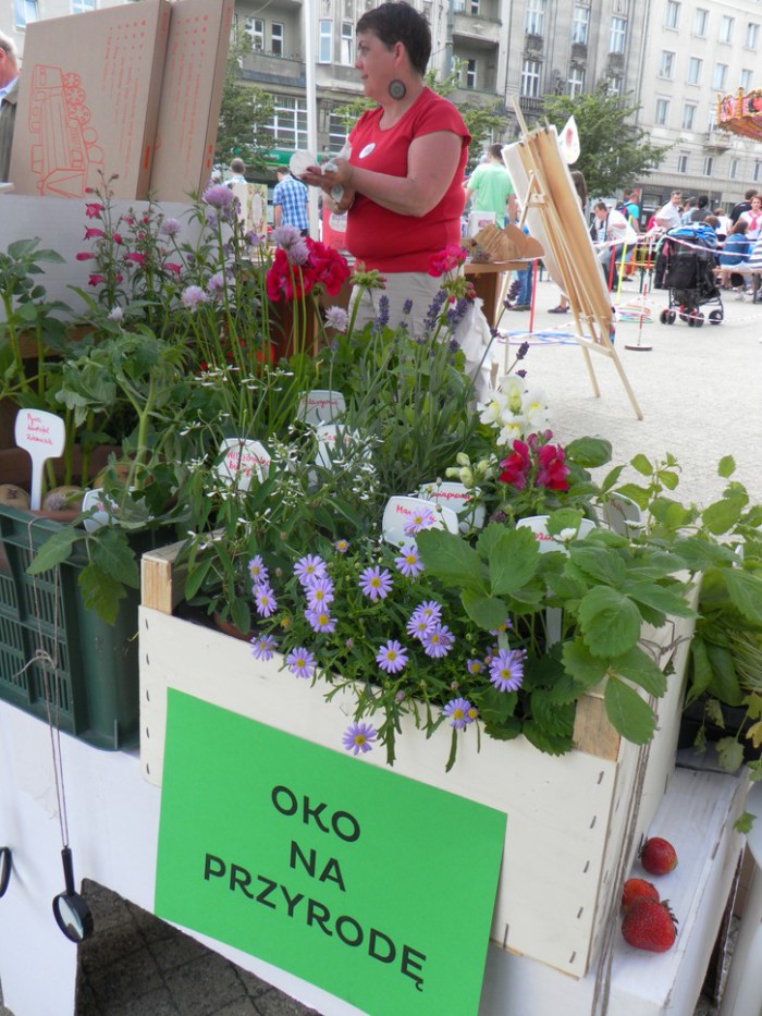 Rowerem po drzewach 2014 (07)