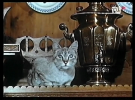 Harenda-kotszary (1)