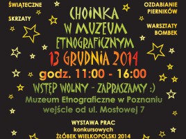 CHOINKA W MUZEUM 2014