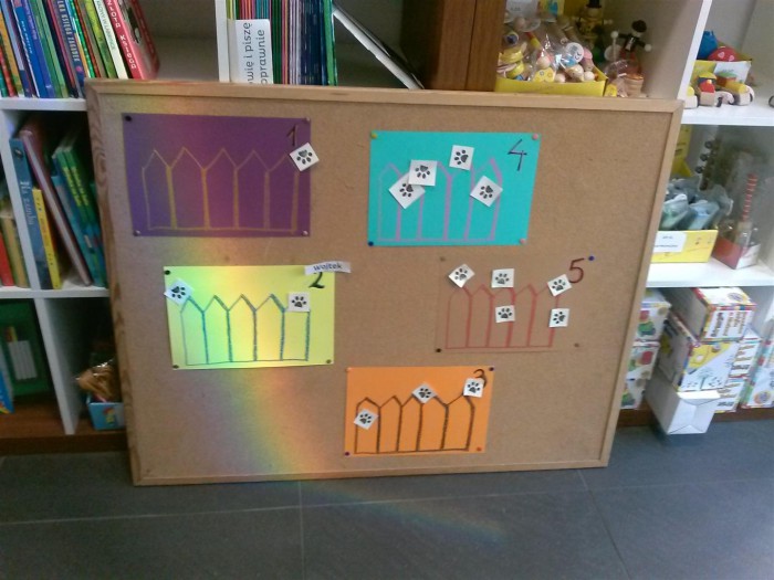 Dzień Kota 2015 (4)