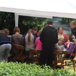 Dni Jezyc - Amarant 04