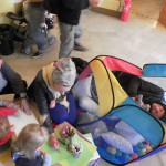 SAMSUNG DIGITAL CAMERA