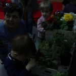 Zmysly - Jezyce IV 2015 02