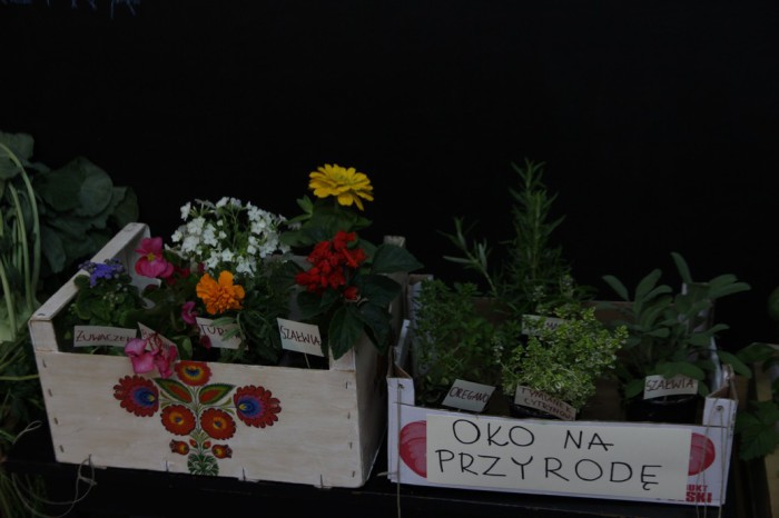 Zmysly - Jezyce IV 2015 07