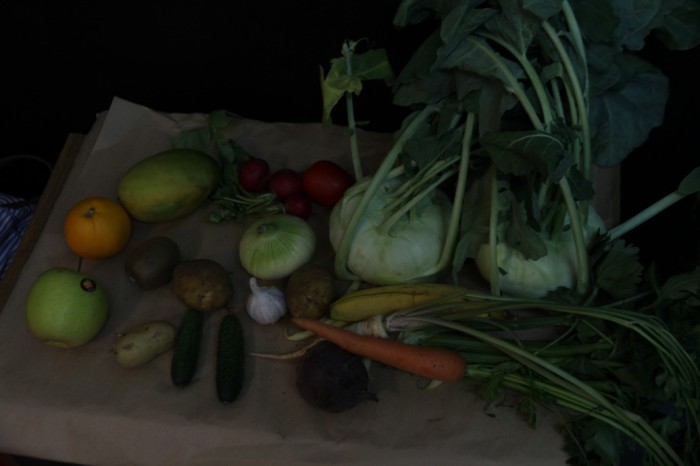 Zmysly - Jezyce IV 2015 19