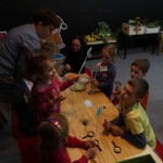 Zmysly - Jezyce IV 2015 34