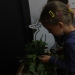 Zmysly - Jezyce IV 2015 51