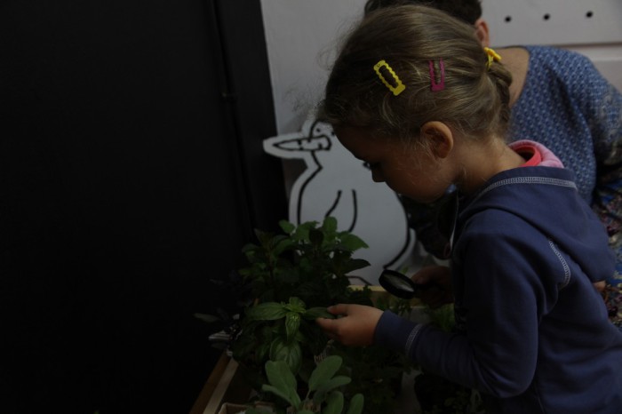 Zmysly - Jezyce IV 2015 51