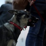 minimalmill-opening-14