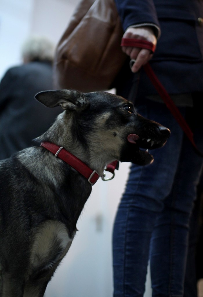 minimalmill-opening-14