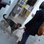 minimalmill-opening-16