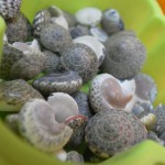 warsztaty-mydlane-2016-30