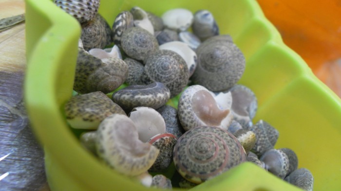 warsztaty-mydlane-2016-30