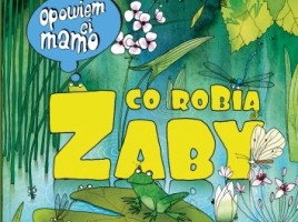 warsztaty ŻABie-head