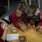 DzienKota2018 grupaB 6