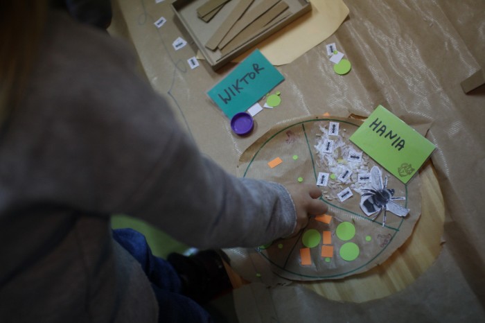 Niesmacznik-mlodsza-grupa (12)